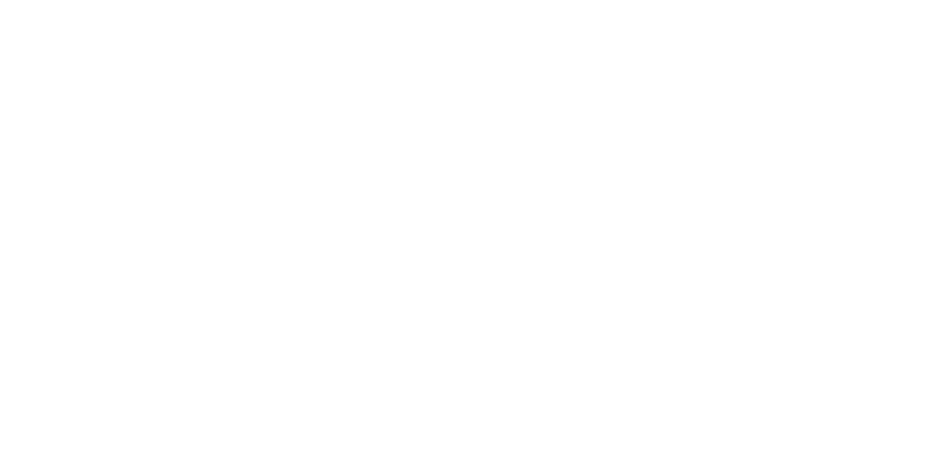 DSN Logo_White DSN Logo_White